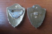 IMAG0155.jpg