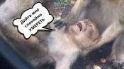 6d41c38c870f993e77ec49dc45728946.png