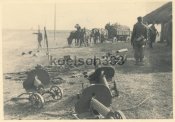 ortgeischin03_1aau80.jpg