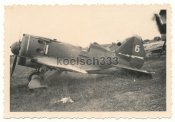 Rata Flugzeug.jpg