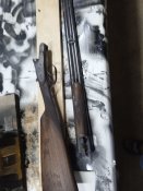 IMG_0280.jpeg