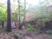 20250629_204538.jpg