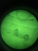 Пнв agm nvg-50 nl 1