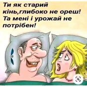 IMG-07f2cacf824a7c50cf84a887395eea7d-V.jpg
