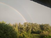 20250630_201704.jpg