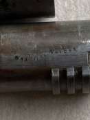 IMG_3373.jpeg