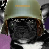 хел.png