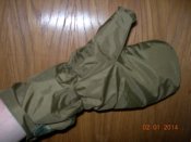 DSCN0785.JPG