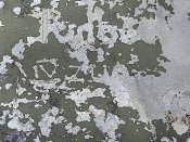IMG_20250114_132054.jpg