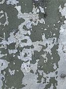 IMG_20250114_132135.jpg