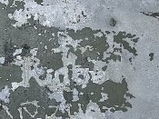 IMG_20250114_132156.jpg
