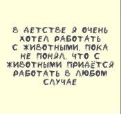 г5.jpeg