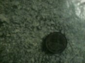 Foto-0002.jpg