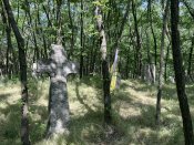 IMG_8615.jpeg