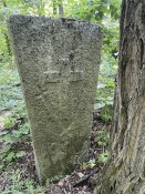 IMG_8623.jpeg
