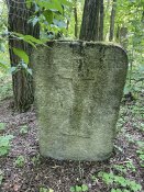 IMG_8624.jpeg