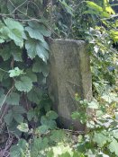IMG_8625.jpeg