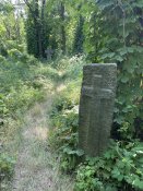 IMG_8628.jpeg