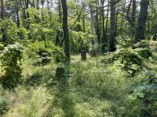 IMG_8634.jpeg