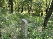 IMG_8635.jpeg