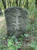 IMG_8653.jpeg