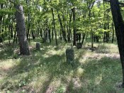 IMG_8668.jpeg