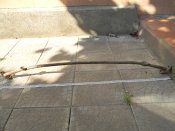 DSCN9481.JPG