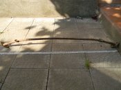 DSCN9485.JPG