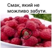 IMG-9d3baa1b832b70a3e950c1652384b5c9-V.jpg