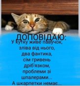 IMG-d41ef73aa2bf17c35070c98a9dad7441-V.jpg
