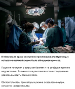 Opera Снимок_2025-07-01_173945_t.me.png