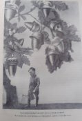 Л.А.Безьіменский " Германские генеральі с Гитлером и без него".1961.