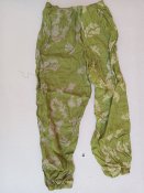 20250630_093052.jpg