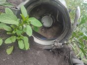 IMG_20250705_062708.jpg