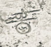 IMG_3363.jpeg