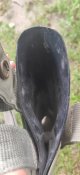 Кобура США (vapor tactical holster)