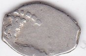 IMG_20140103_0066.jpg