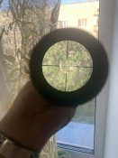 IMG_1146.jpeg