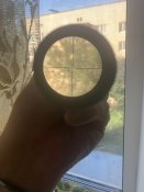 IMG_1137.jpeg