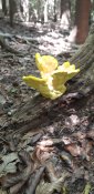 20250706_153829.jpg