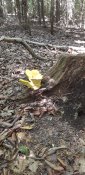 20250706_153900.jpg
