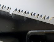 2451.jpg