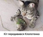IMG-9e6cc2bb76f8743668cd8c3ef1a39788-V.jpg