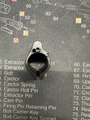 IMG_2497.jpeg