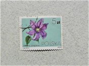 Поштова марка Польща 1984 рік
