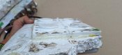 Комета GPS CRPA + CRPA модуль приёмник Герань