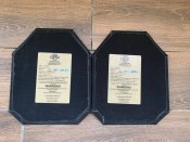 Плити SAG 10” 12” III NJI