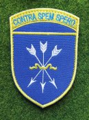 Шеврон Украина № 2669