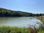 IMG_0533.JPEG