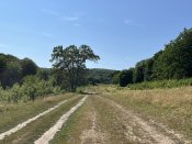 IMG_0526.JPEG